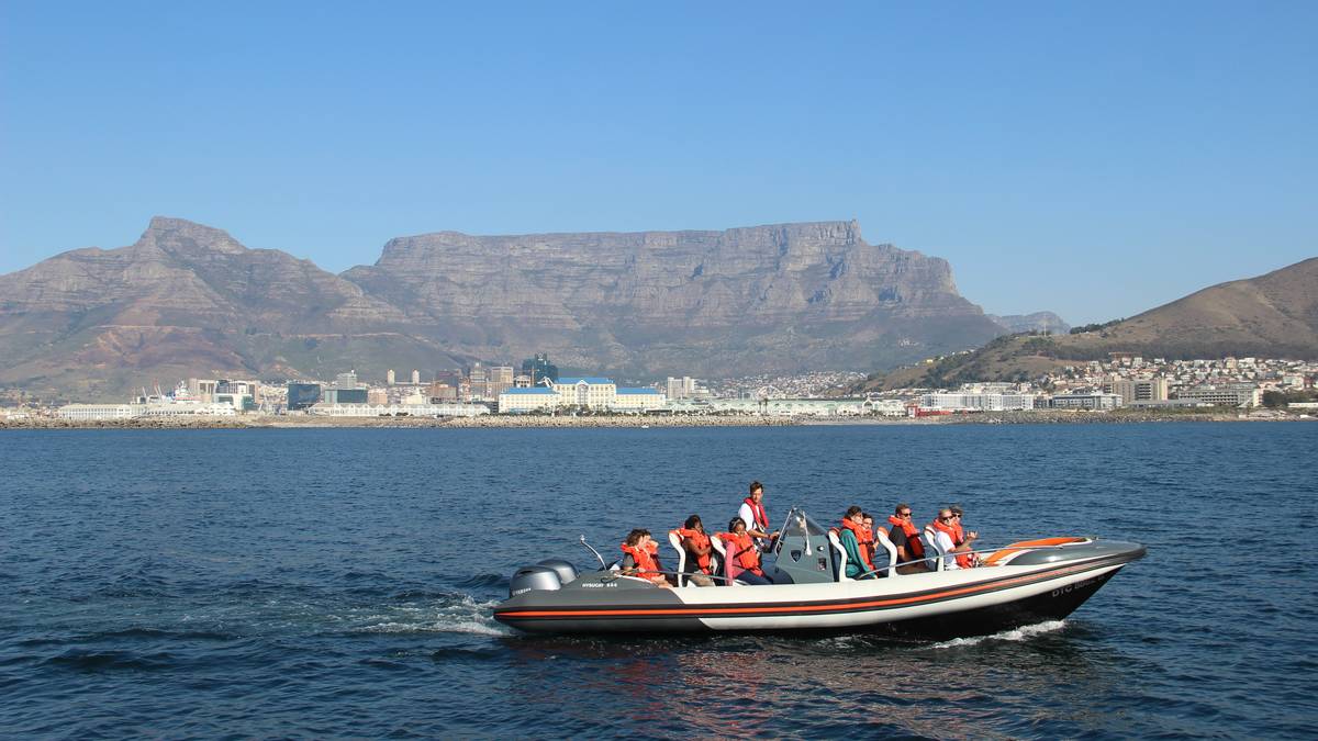 Excursión ecológica marina en Waterfront, Ciudad del Cabo (transporte incluido)