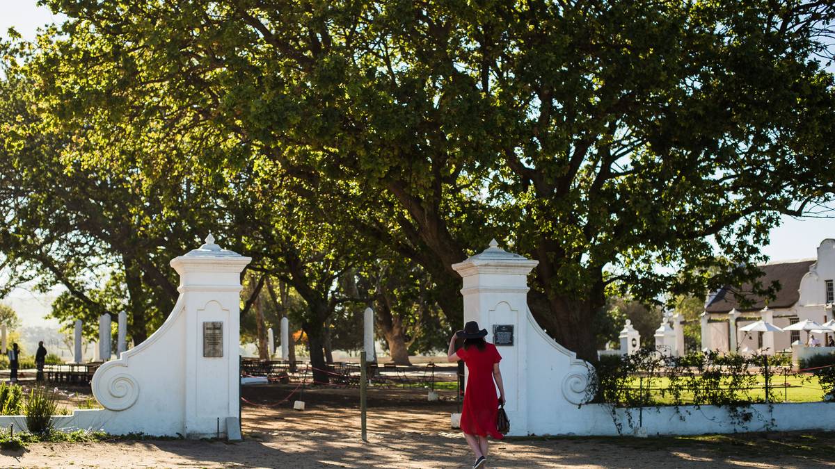 Tour de vinos en Stellenbosch y Franschhoek (privado)