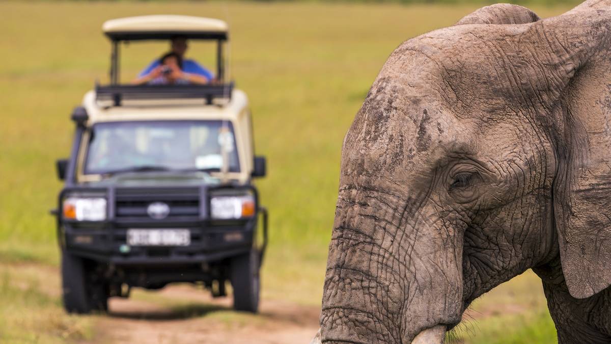 Safari de 3 días por el Parque Kruger